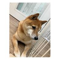 画像1001