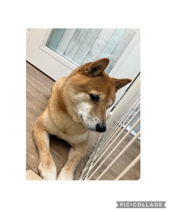 画像1001