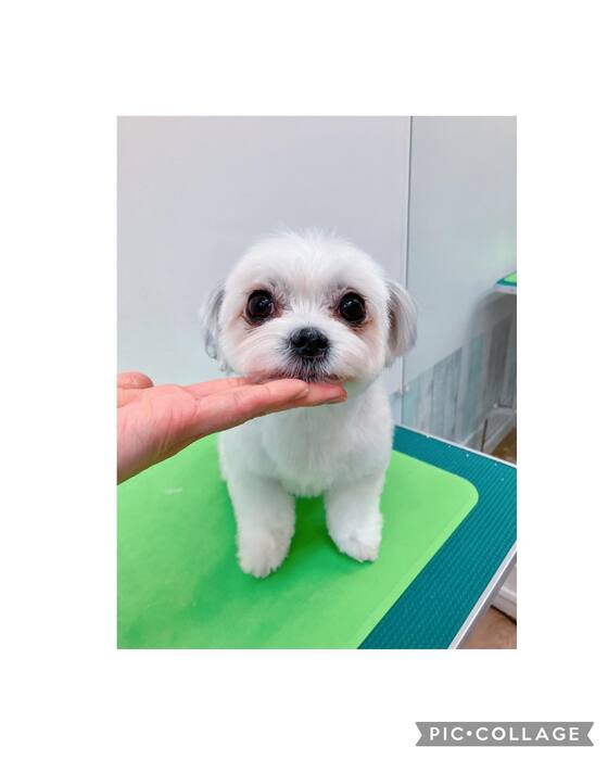画像1010