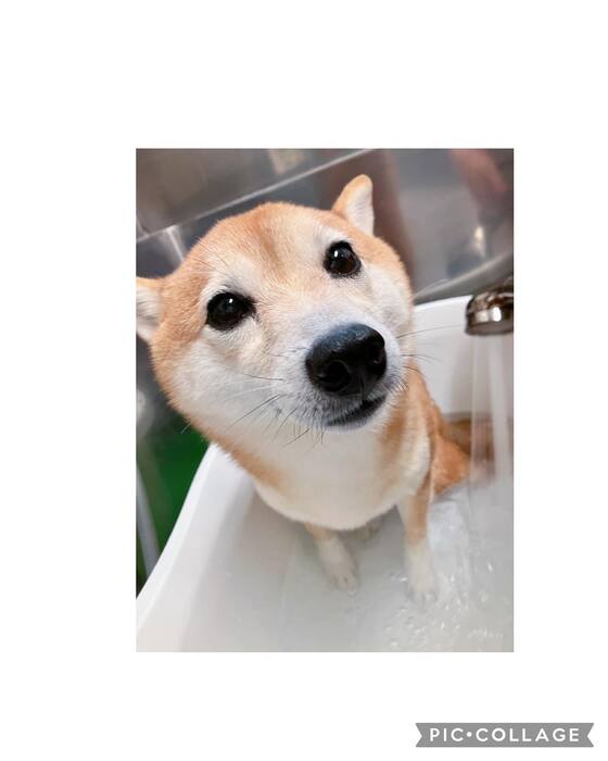 画像1028