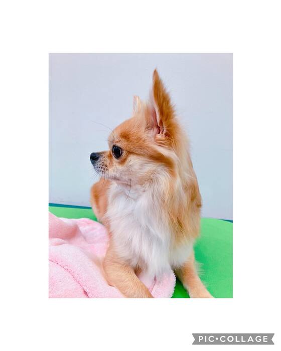 画像1055