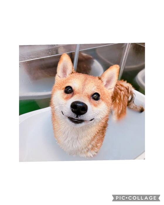 画像1080