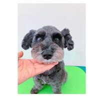 画像1098
