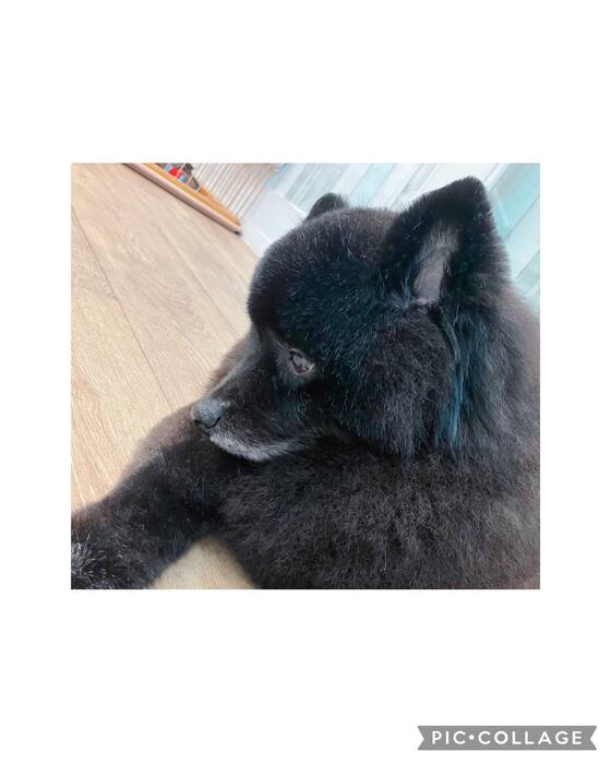画像1101