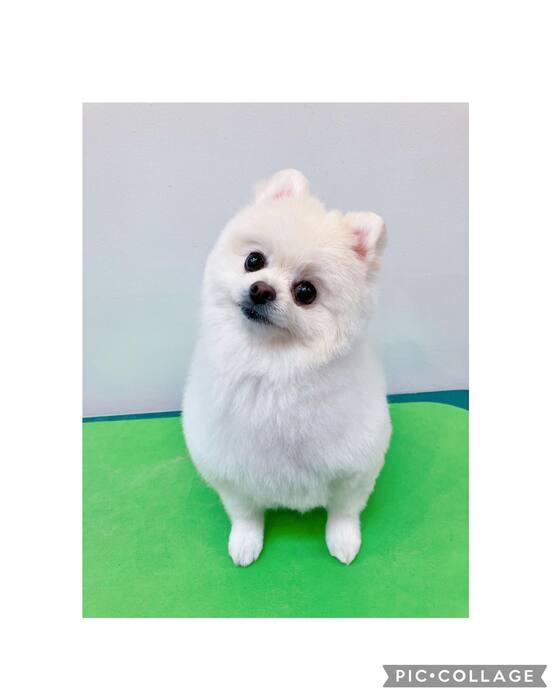 画像1119