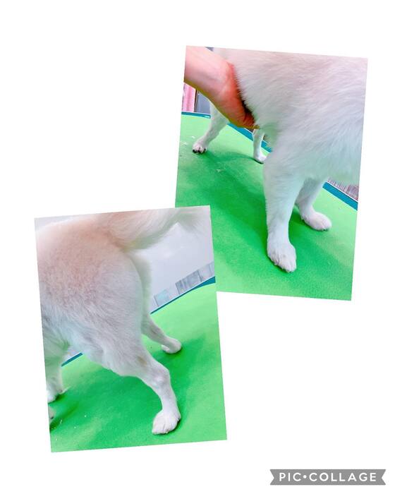 画像1191