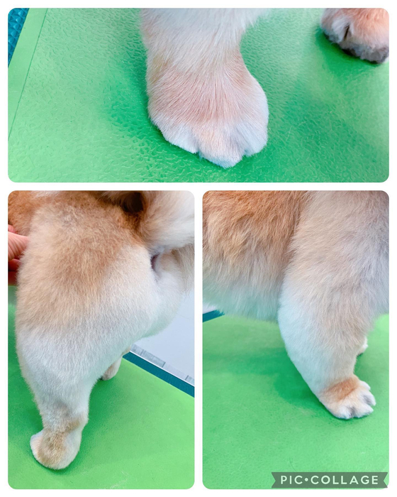 画像1234