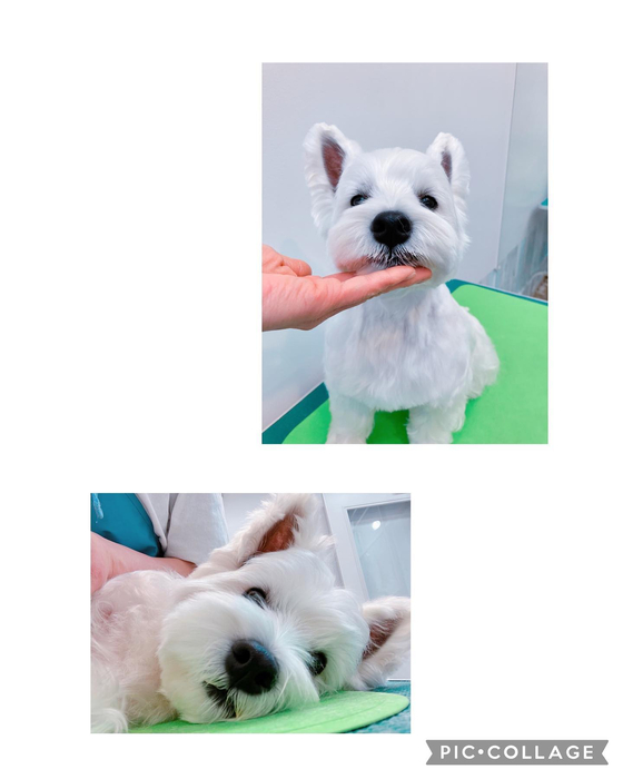 画像1237