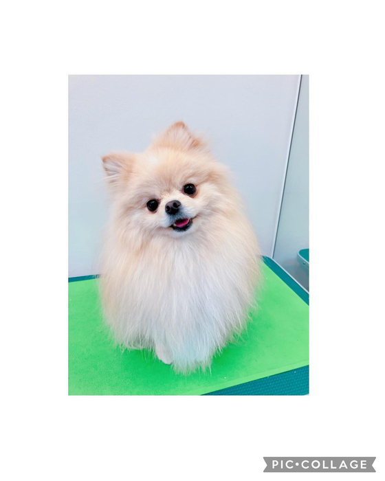 画像1288