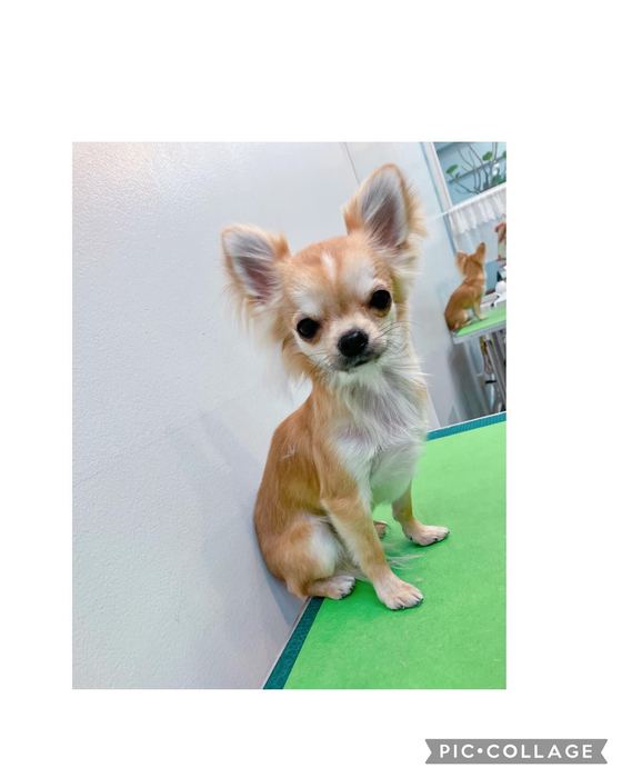画像1306