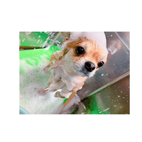 画像1309