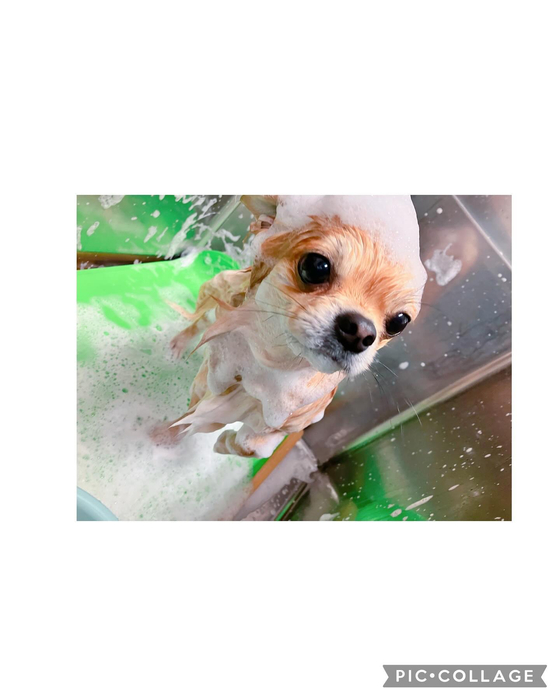 画像1309