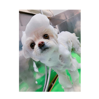 画像1315