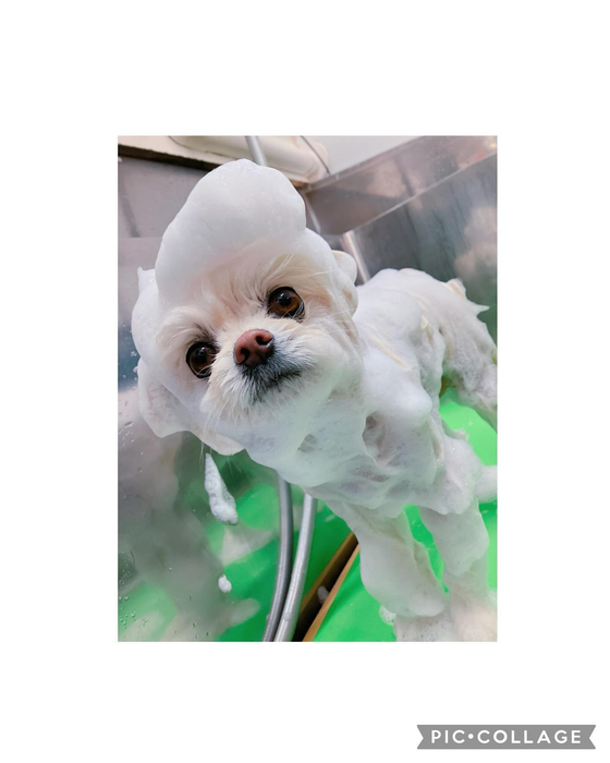 画像1315