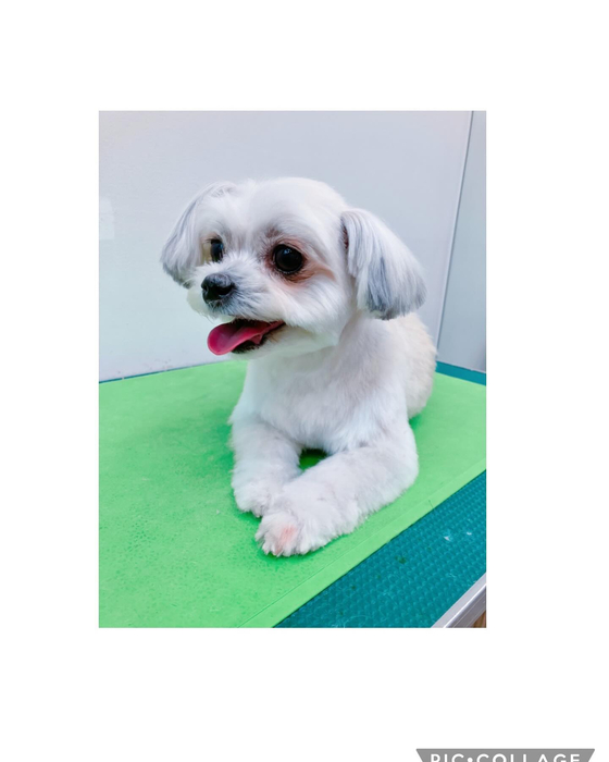 画像1330