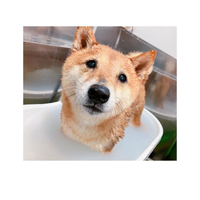 画像1333
