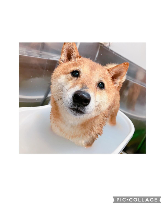 画像1333