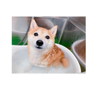 画像1336