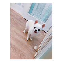 画像1347