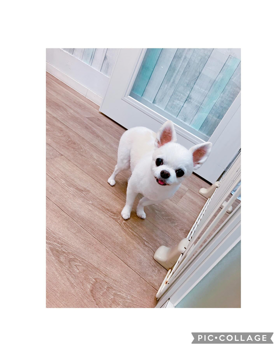 画像1347