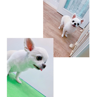 画像1348