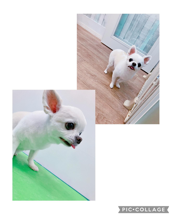 画像1348