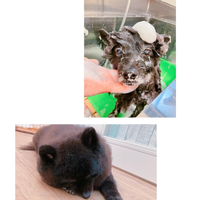 画像1354