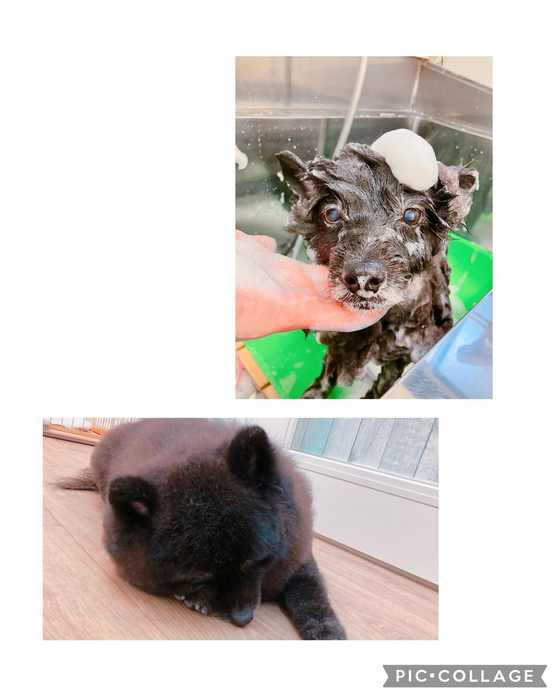 画像1354