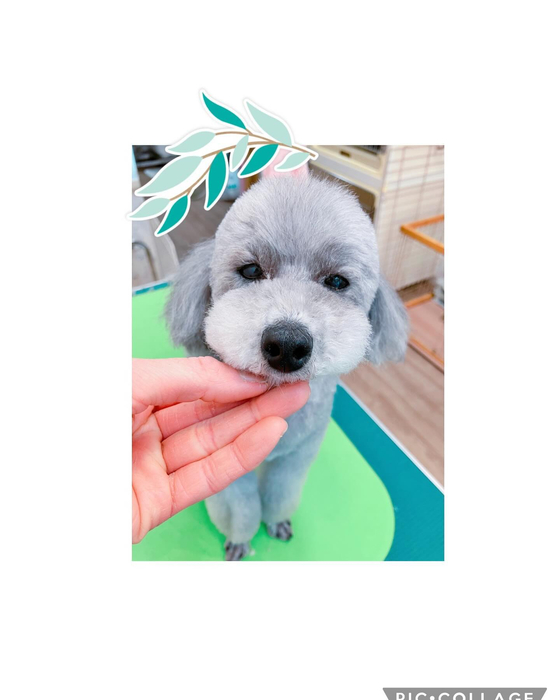 画像1359