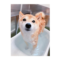 画像1365