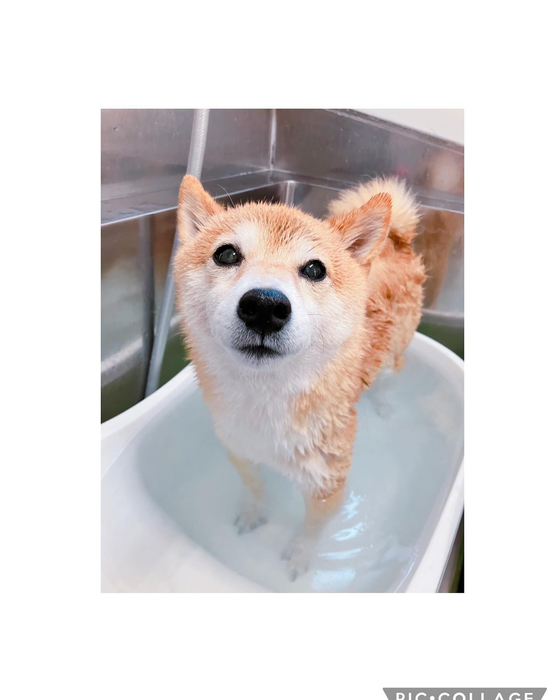 画像1365