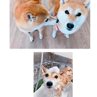 画像1366