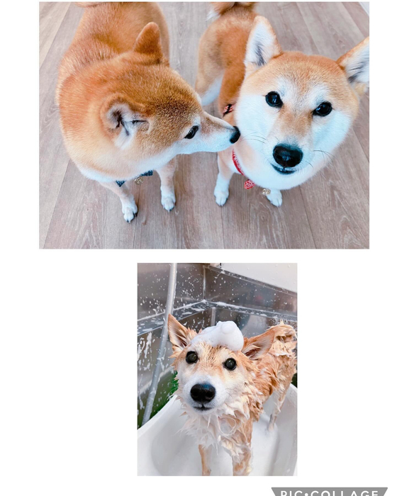 画像1366