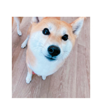 画像1368