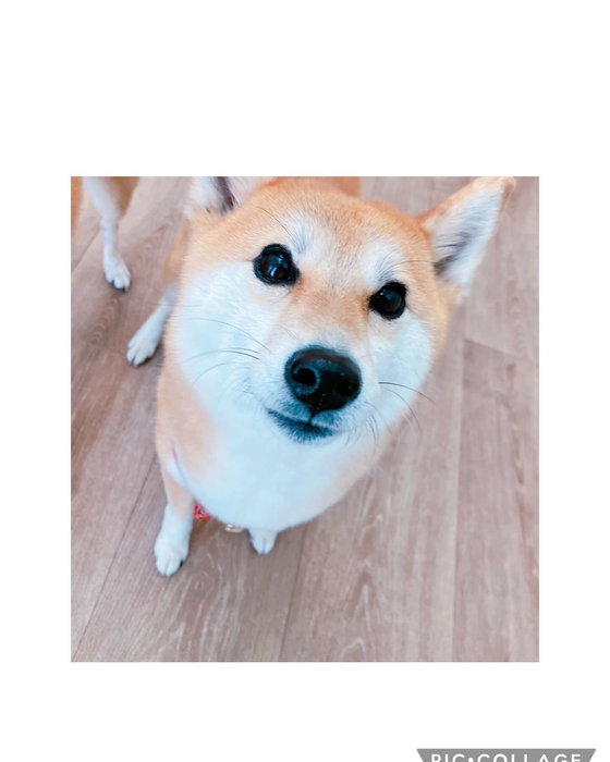 画像1368