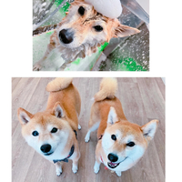 画像1369