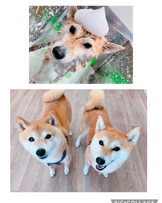 画像1369