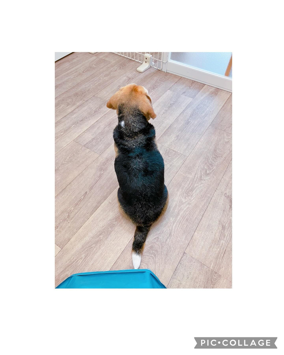 画像1407
