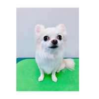 画像1428