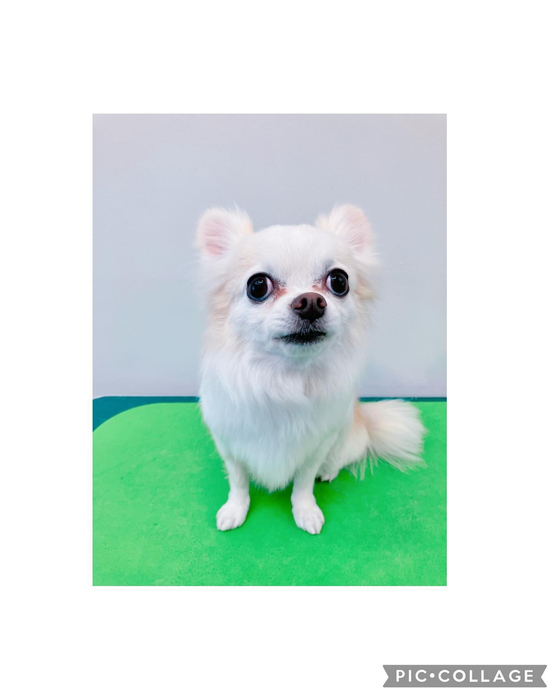 画像1428
