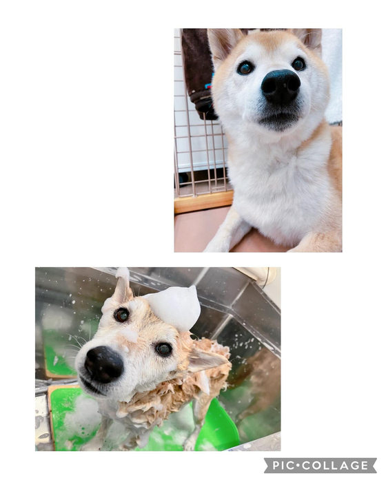 画像1438