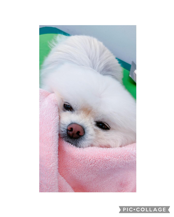 画像1440