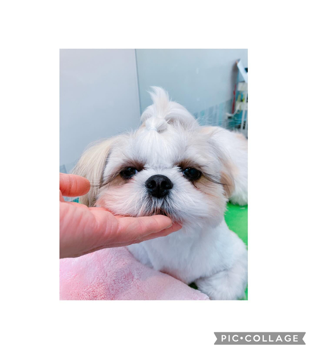 画像1484