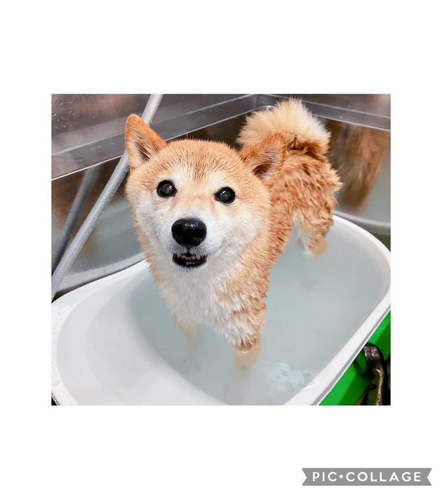 画像1490