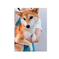 画像1496