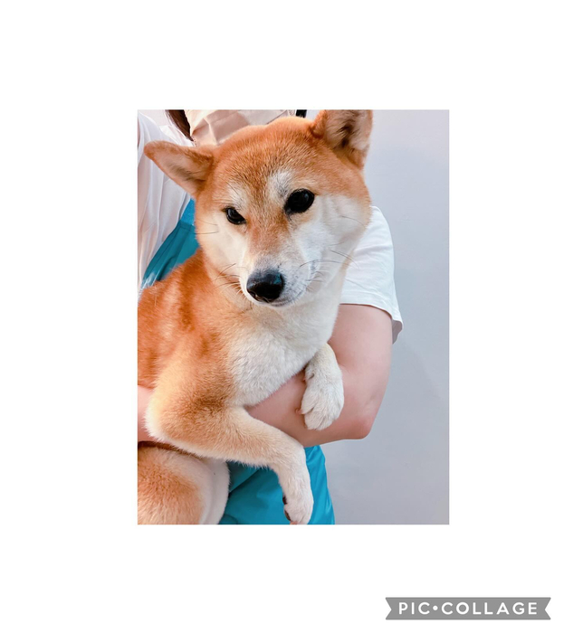 画像1496