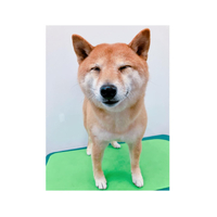 画像1507