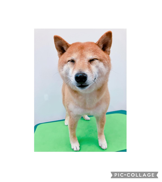 画像1507