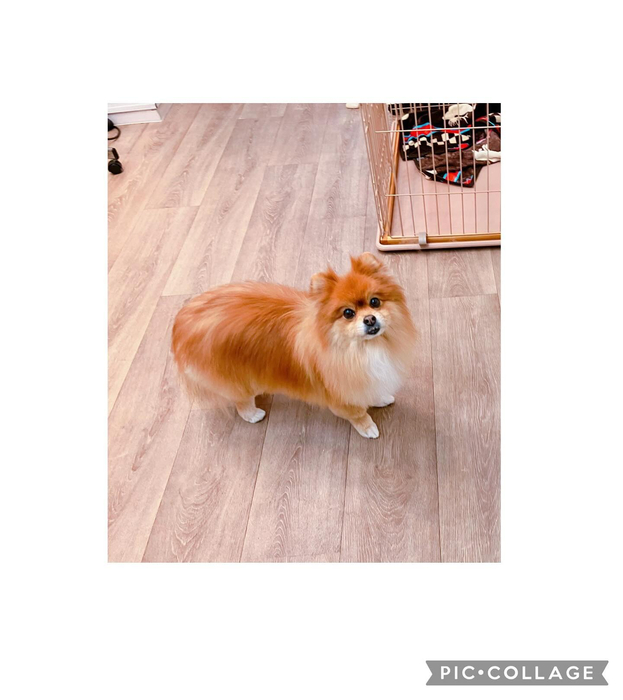 画像1515