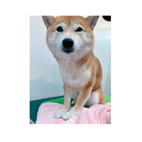 画像1523